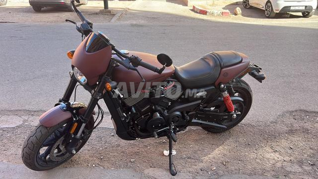 Harley street rod 750 Ww maroc Model2020