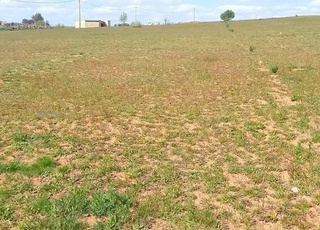 أرض فلاحية للبيع نواحي تيفلت الخزازنة