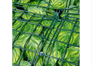 زين حديقتك و بلكونتك بسياج أوراق طبيعي المظهر