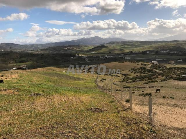 ارض فلاحية كروشي بلانكو محفظة  