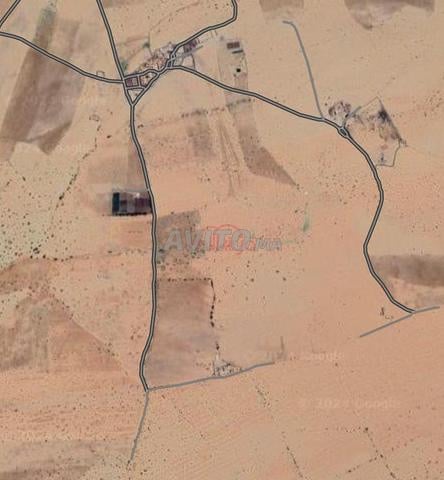 Vente Terrain agricole de 245000 m2 à Marrakech - 2