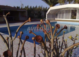 Vente Ferme de 23369 m2 à Safi