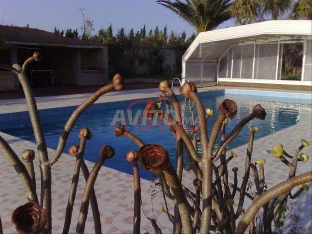 Vente Ferme de 23369 m2 à Safi