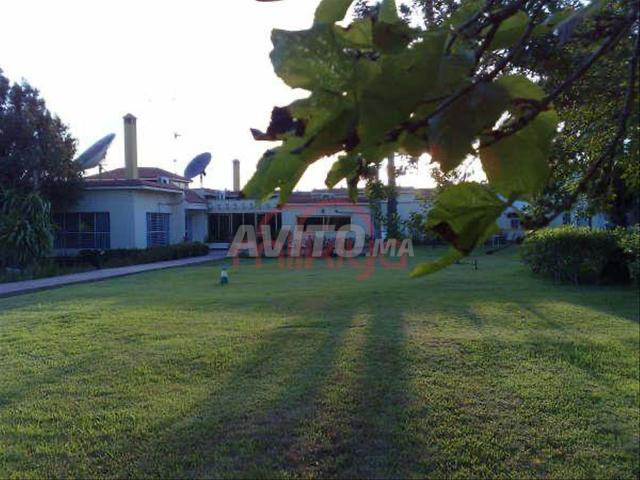 Vente Ferme de 23369 m2 à Safi - 2