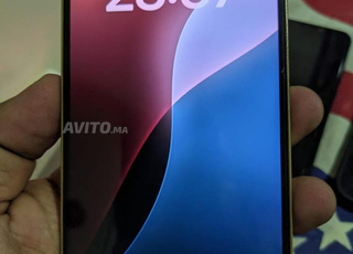 iphone gold pro max 256g