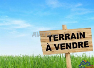 terrain titré à vendre 