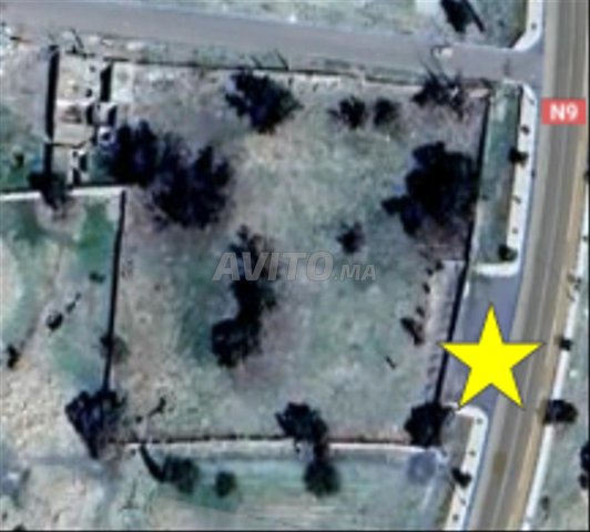 Terrain nu et titré Sidi Bou Othmane Zone Imm