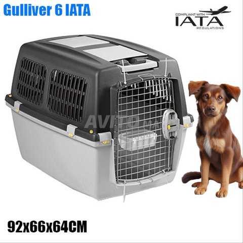Cage Transportal IATA 6 - 92x66x64CM