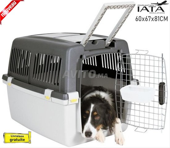 Transporteur pour chiens de taille moyenne IATA 5