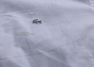 chemise Lacoste  