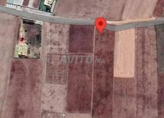 Terrain à vendre 4 khdam et demi