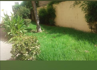 Terrain 1 hectare région Benslimane 