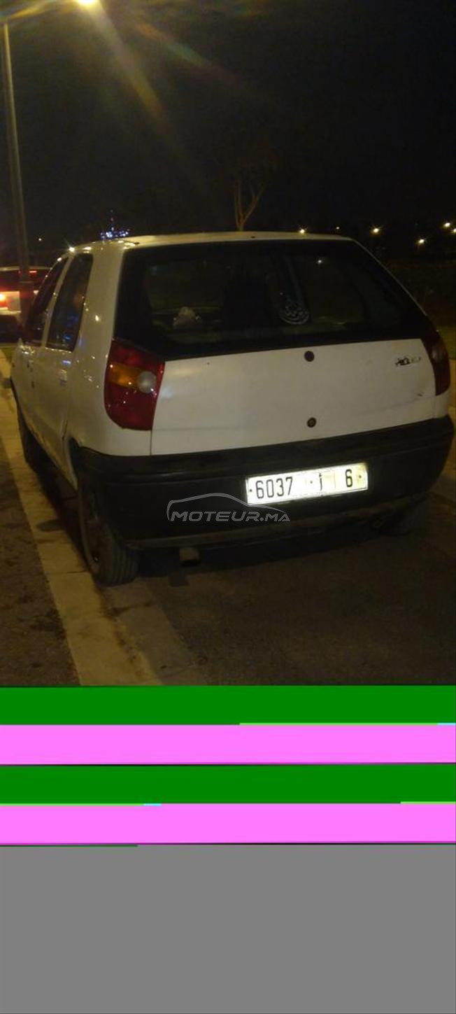 Palio 