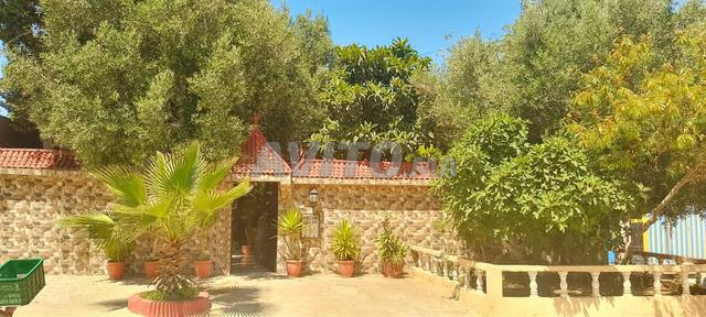 Villa de Charme à Vendre à Tamri, Vue Montagne