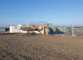 Terrains agricoles à bouznika 