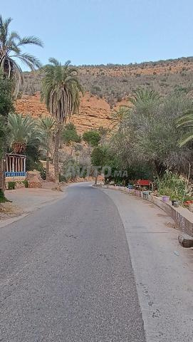 chambre à  louer a paradise valley - 2