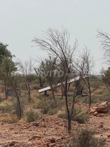 Terrain à vendre 10939 m² Route D'Amezmiz