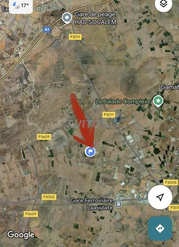 Terrain à 26 km de casablanca à vendre