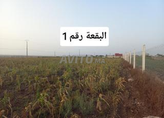 أراضي فلاحية متقاربة الموقع للبيع