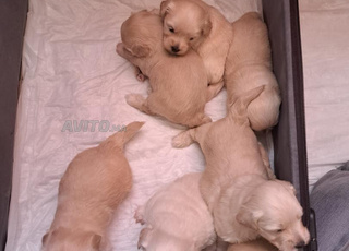 2 mars. Rue parthenon