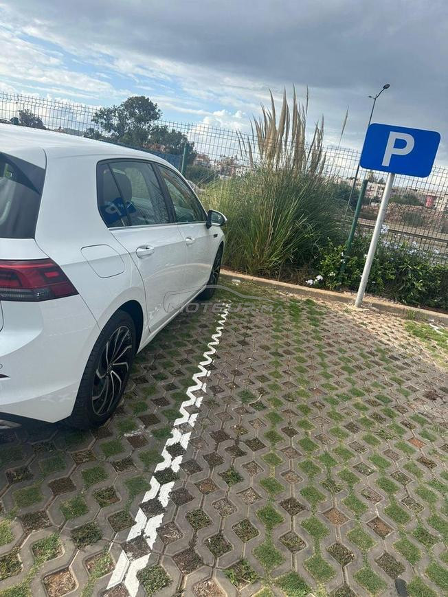golf 8 model 2022 diwana 2024