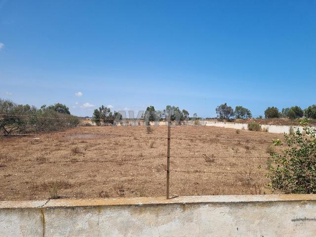 Vente de terrain titré de 4 989 m²