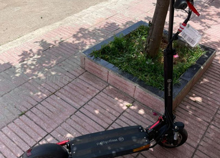 Troutinette électrique 