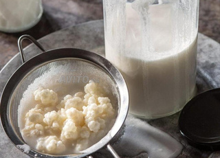 الكفير  kéfir