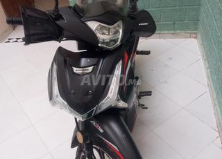 Moto camel shark model 12 2021