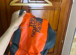 the north face original