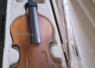 Violon 3/4 