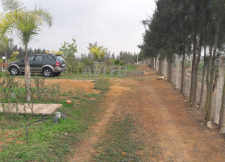 Ferme équipée à vendre – 2 Hectares à Tifelt