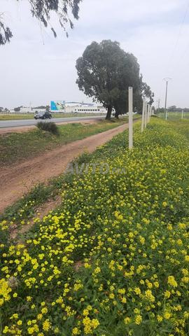 إيجار أرض على الطريق الوطني رقم 1 ببوزنيقة