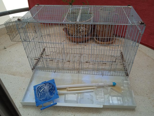 cage sipari complet 