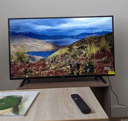 tv XIAOMI 43 pouce 4K
