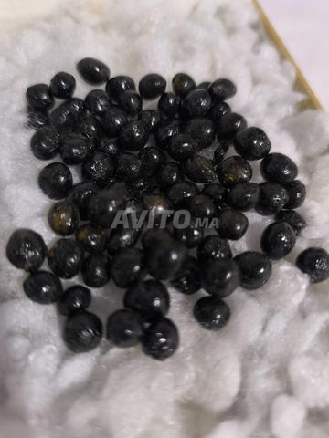 لوبان الزيتونة حر رائحة قوية 