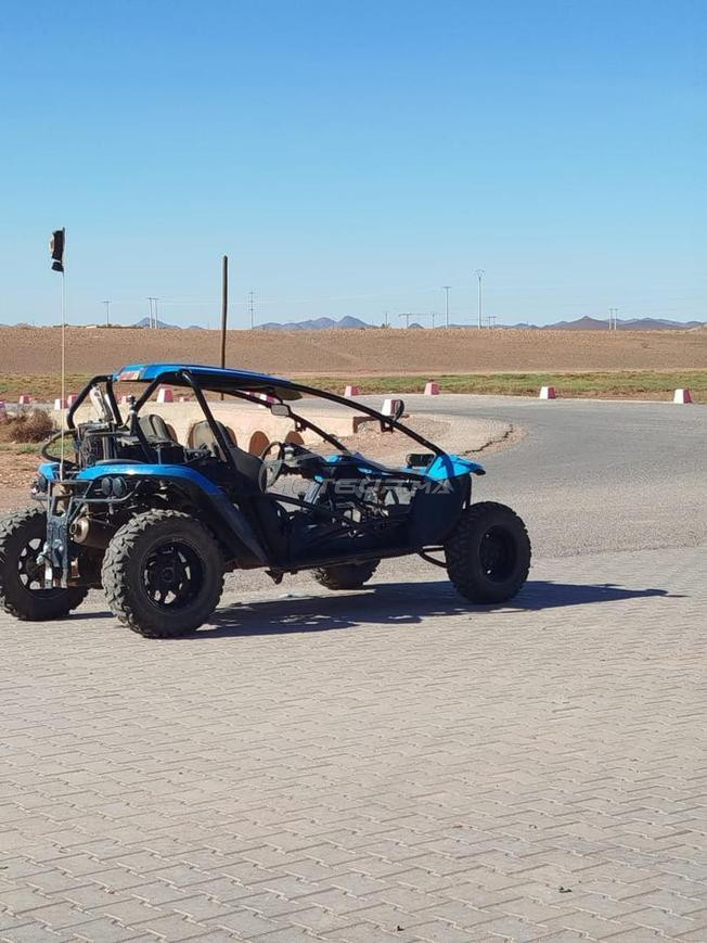 Buggy PGO 500