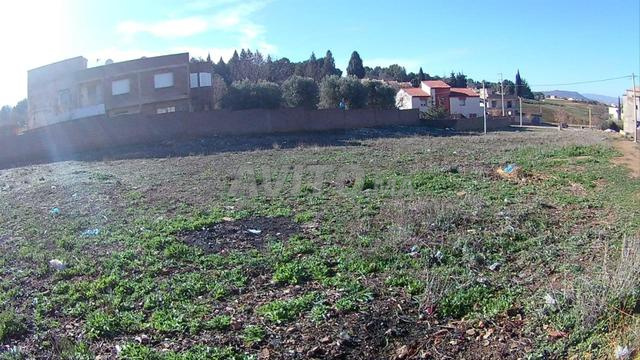 Terrain à vendre à Ribat el Kheir