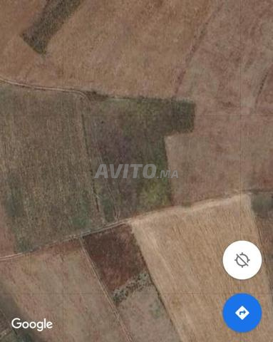 Terrains agricoles titrés – 5 300 m² au total   - 2