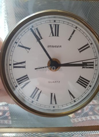 Staiger montre germani