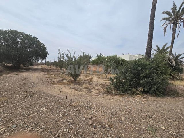 À Vendre Terrain Titré de 12 500 m² sur Route