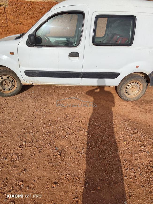 kangoo