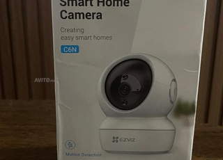 Camera de surveillance