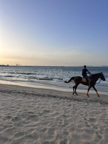 maîtresse et aides maîtresses 