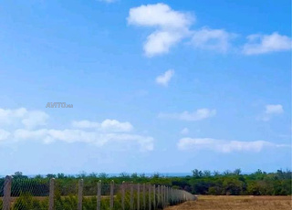 Hectare ou 6000 mètres Hotta Sidi Rahal