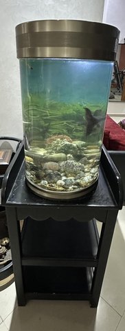 Aquarium 130L