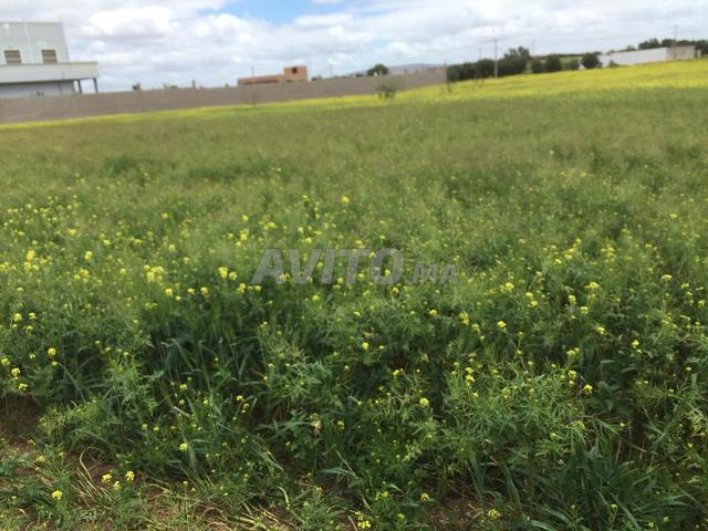 بين مدينة ابن احمد والكارة طريق الدار البيضاء 