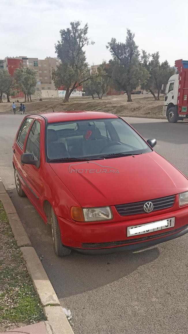 كولف بولو 
