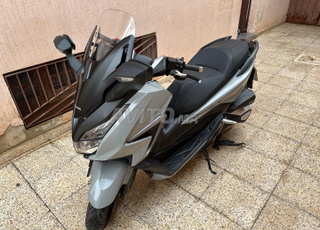 Forza 350 2022 douan fin 2024 plaqu rabat