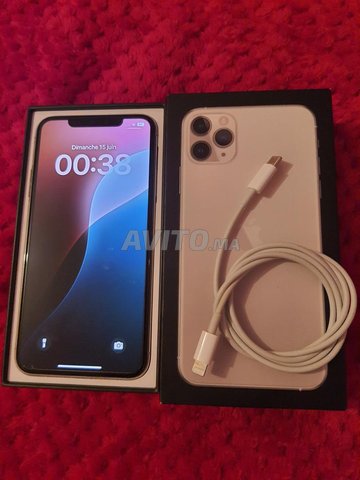 iphone 11 pro max 64g  72 f l'état de batterie 